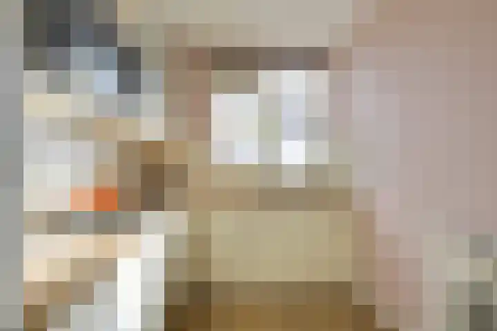 Antilopespoor 229 Maarssen thumbnail 12