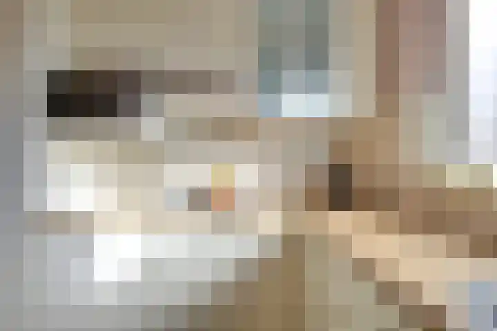 Antilopespoor 229 Maarssen thumbnail 14