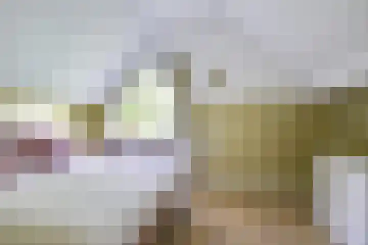 Antilopespoor 229 Maarssen thumbnail 17