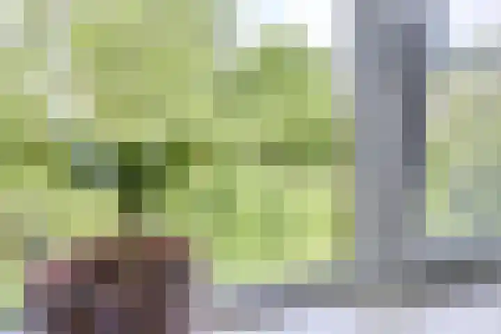 Antilopespoor 229 Maarssen thumbnail 21
