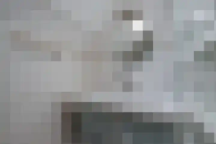 Antilopespoor 229 Maarssen thumbnail 27