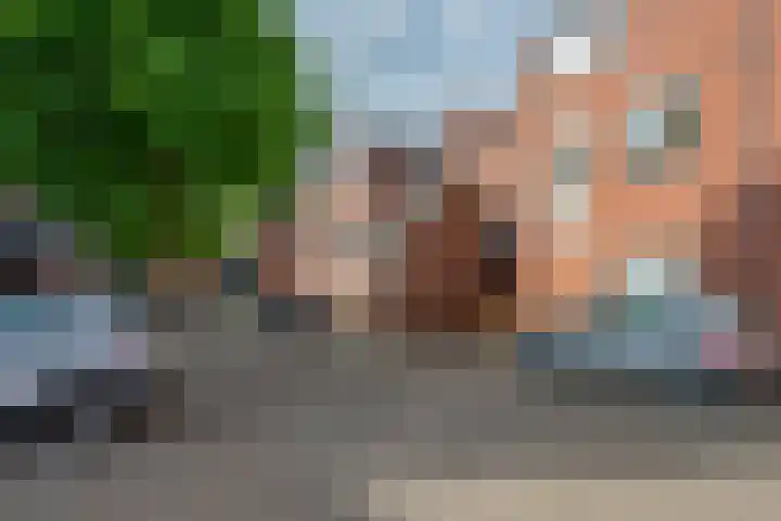 Antilopespoor 229 Maarssen thumbnail 37