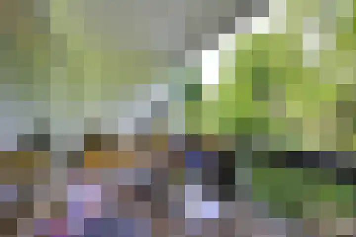 Antilopespoor 229 Maarssen thumbnail 7