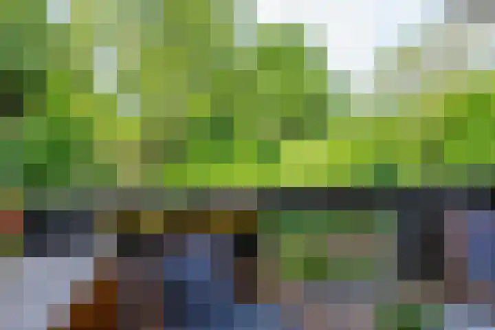 Antilopespoor 229 Maarssen thumbnail 8