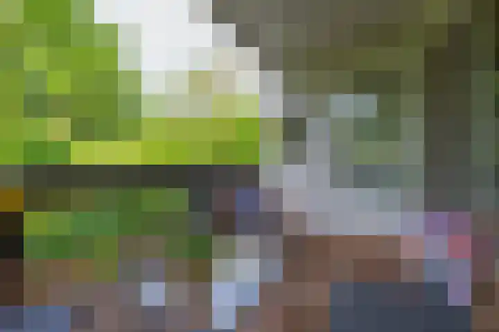 Antilopespoor 229 Maarssen thumbnail 9