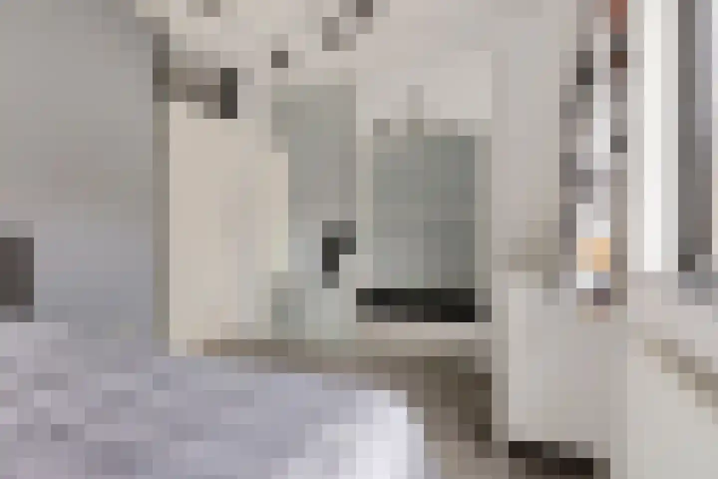 Antilopespoor 25 Maarssen thumbnail 17