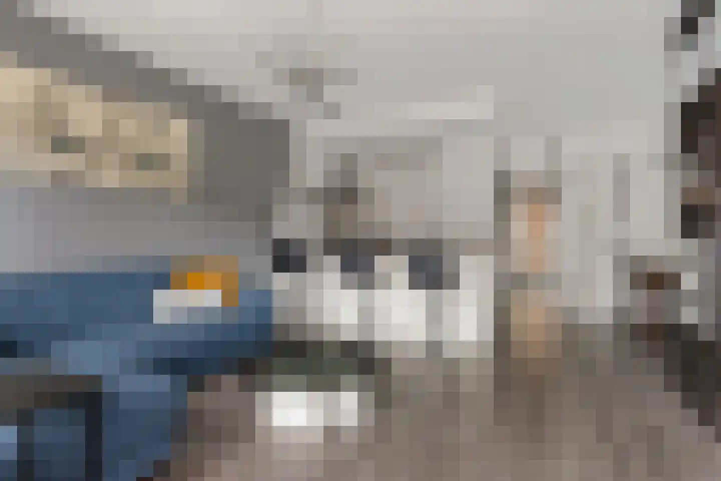 Antilopespoor 25 Maarssen thumbnail 8