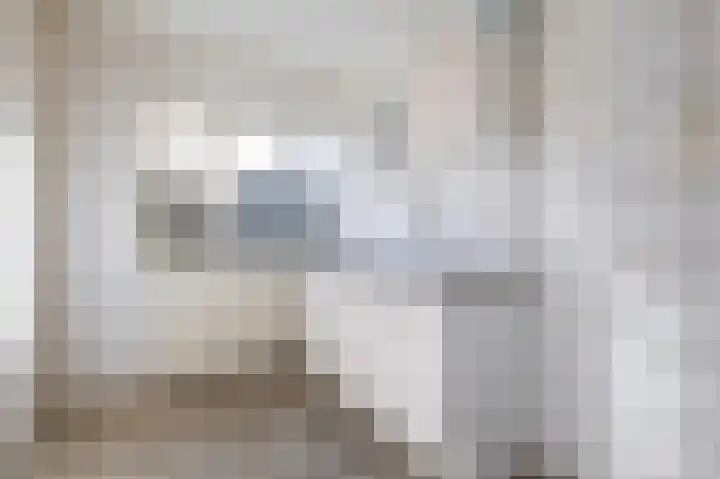 Antilopespoor 26 Maarssen thumbnail 11