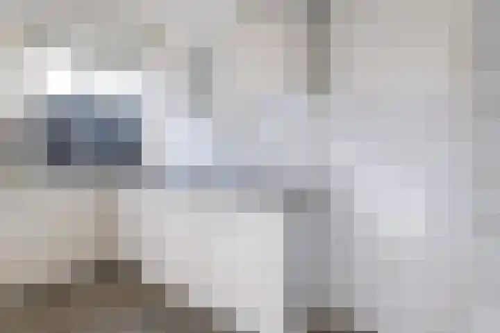 Antilopespoor 26 Maarssen thumbnail 12