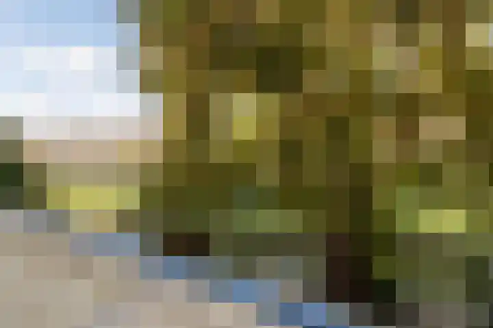 Antilopespoor 26 Maarssen thumbnail 16