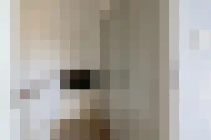 Antilopespoor 26 Maarssen thumbnail 17