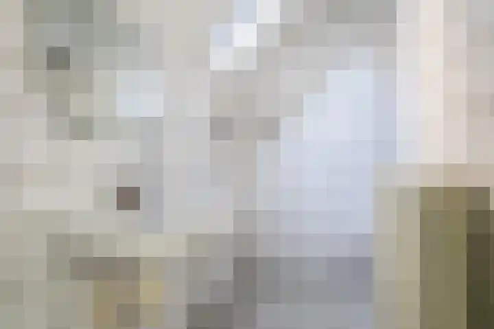 Antilopespoor 26 Maarssen thumbnail 18