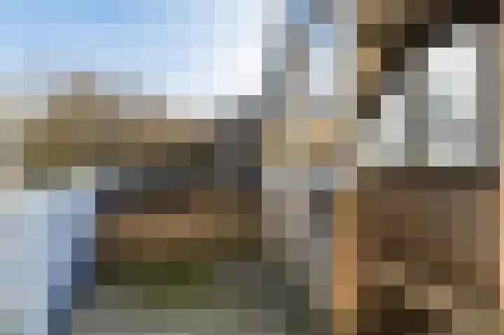 Antilopespoor 26 Maarssen thumbnail 5