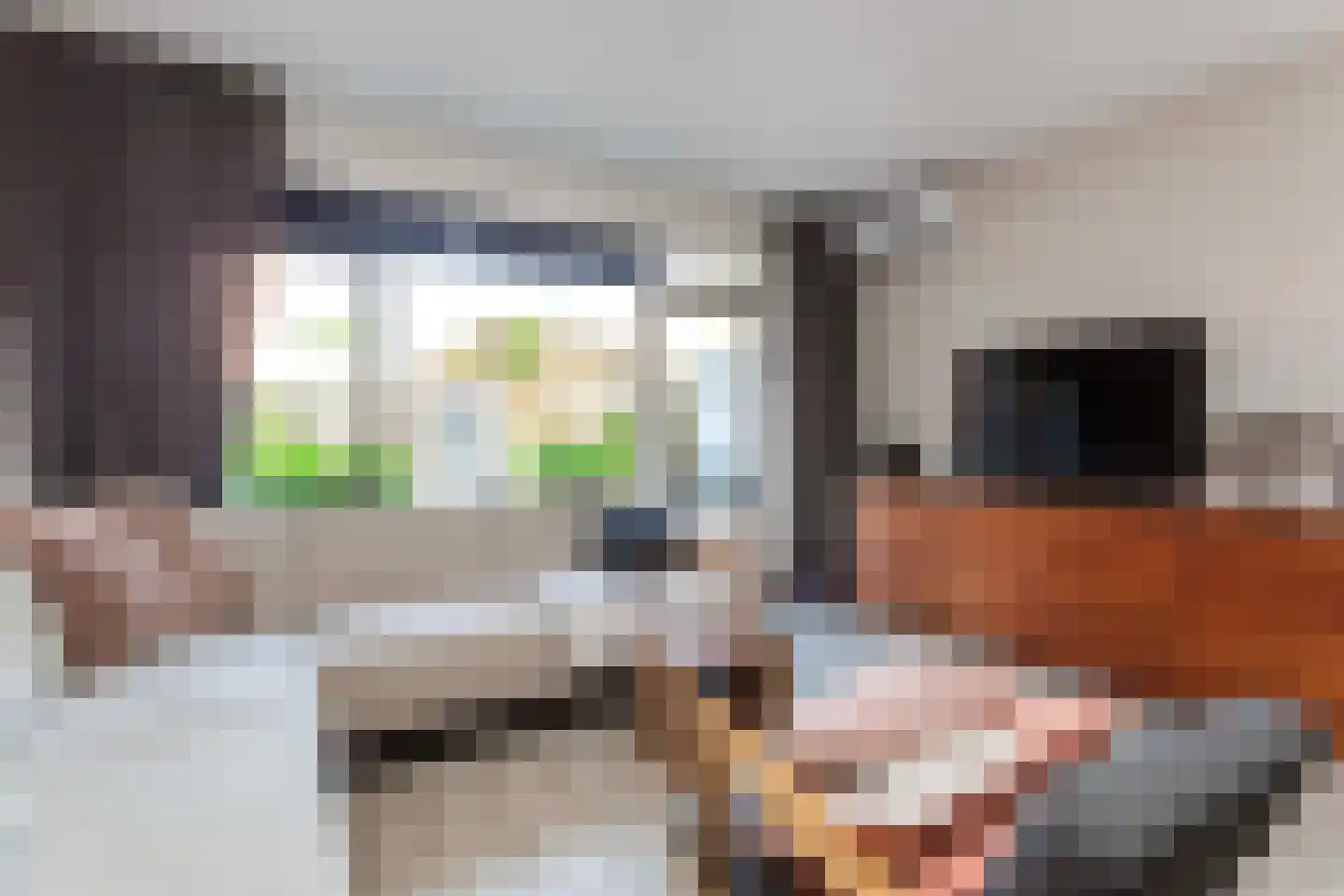 Antilopespoor 281 Maarssen thumbnail 4