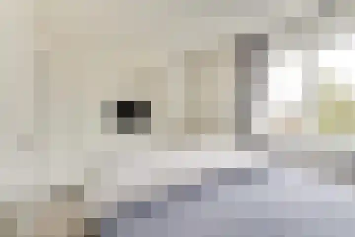 Antilopespoor 372 Maarssen thumbnail 21