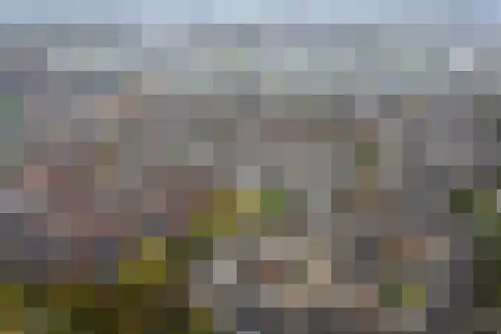 Antilopespoor 372 Maarssen thumbnail 29