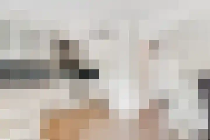 Antilopespoor 373 Maarssen thumbnail 22