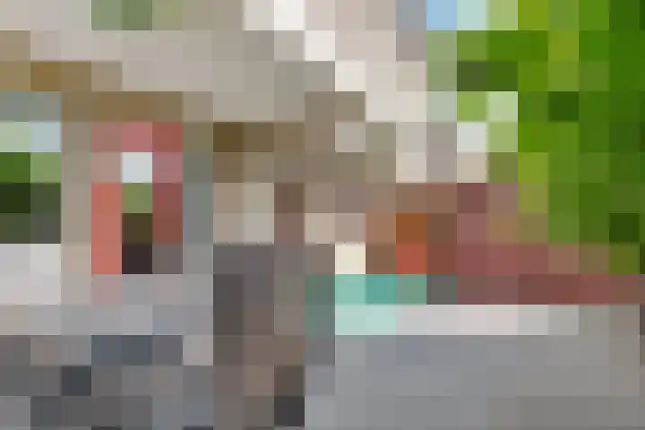 Antilopespoor 373 Maarssen thumbnail 39