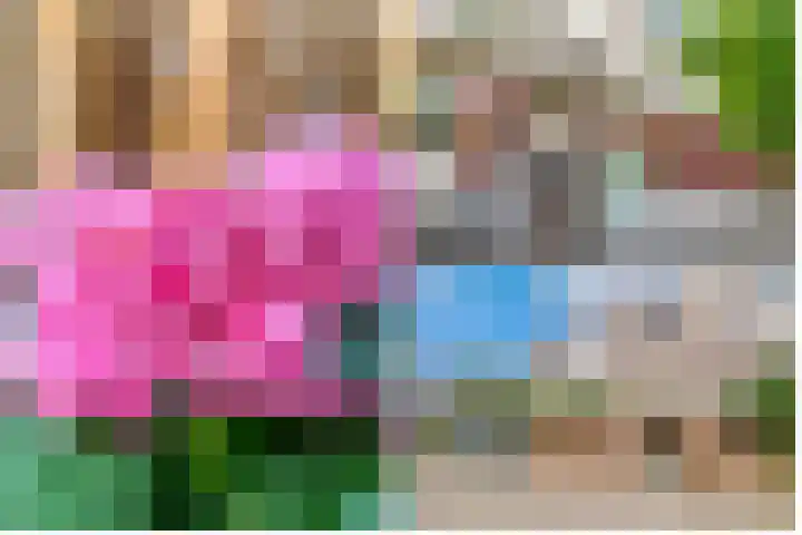 Antilopespoor 373 Maarssen thumbnail 44