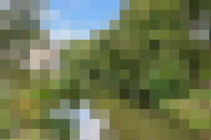 Antilopespoor 373 Maarssen thumbnail 46