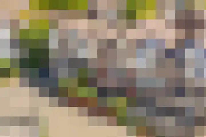 Antilopespoor 373 Maarssen thumbnail 7