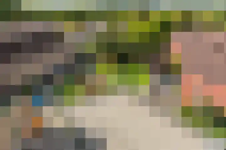 Antilopespoor 373 Maarssen thumbnail 8