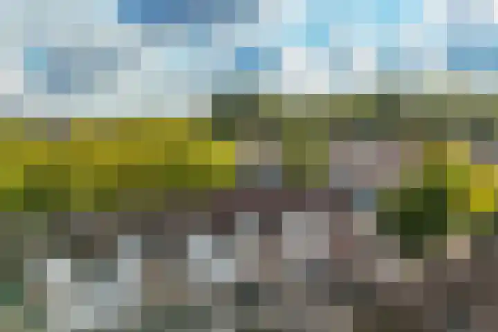 Antilopespoor 373 Maarssen thumbnail 9