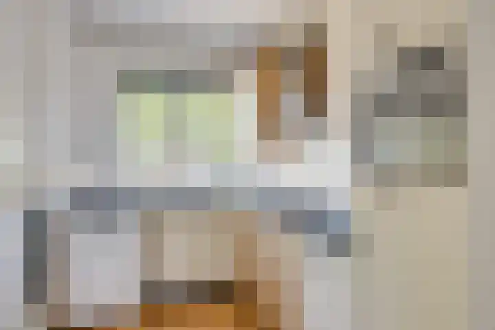 Antilopespoor 383 Maarssen thumbnail 14