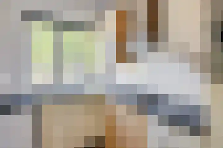 Antilopespoor 383 Maarssen thumbnail 15