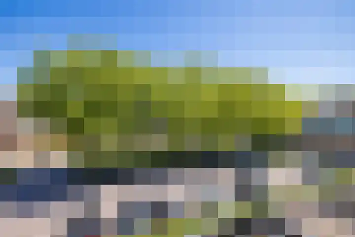 Antilopespoor 383 Maarssen thumbnail 16