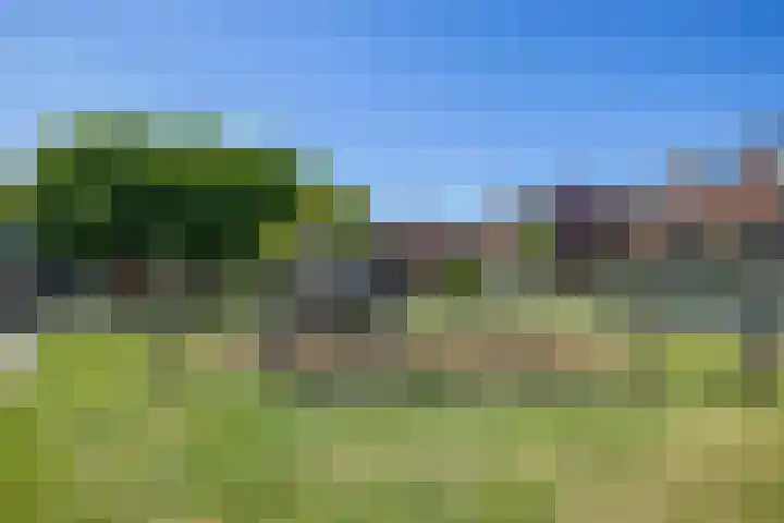Antilopespoor 383 Maarssen thumbnail 35