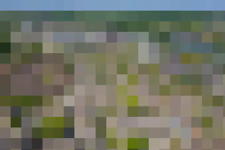 Antilopespoor 383 Maarssen thumbnail 37