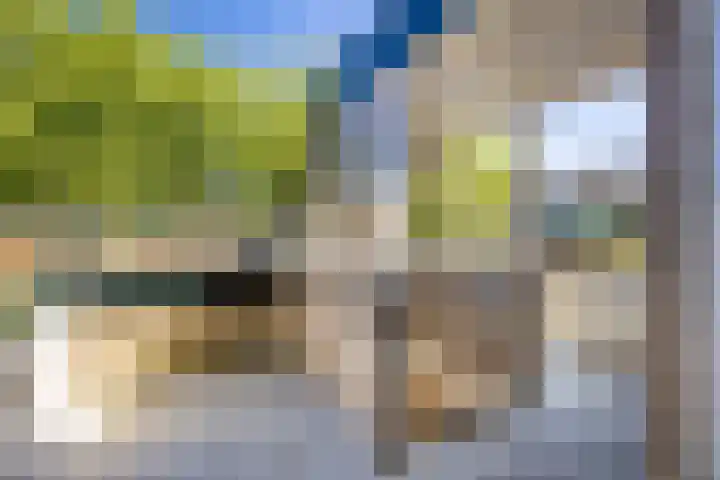 Antilopespoor 383 Maarssen thumbnail 7