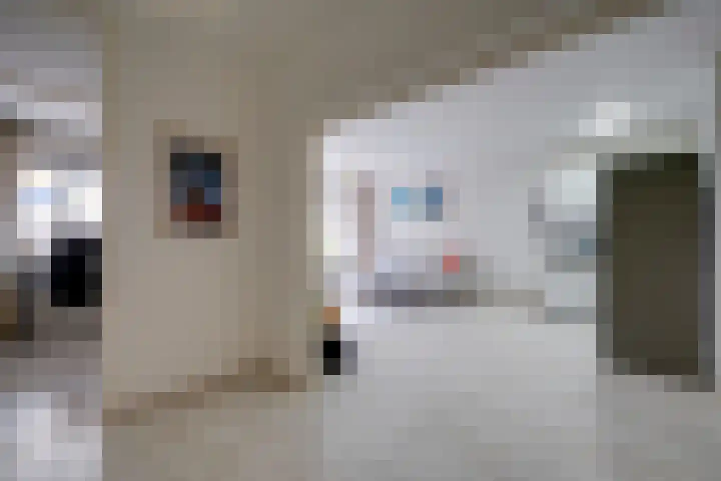 Antilopespoor 385 Maarssen thumbnail 25