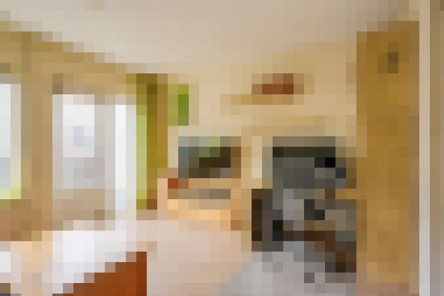 Antilopespoor 387 Maarssen thumbnail 13