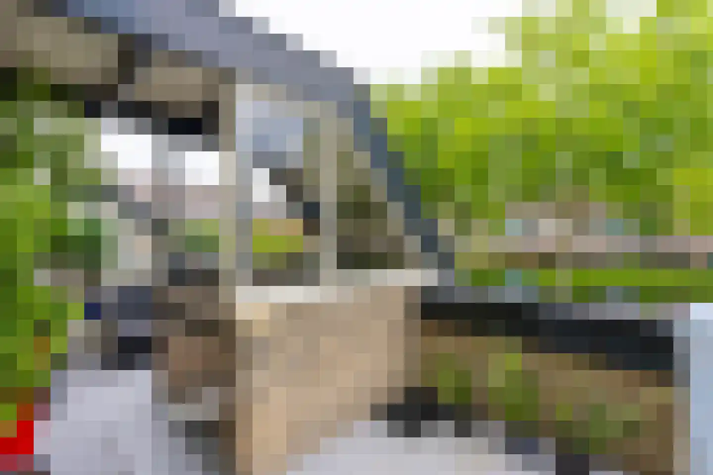 Antilopespoor 387 Maarssen thumbnail 5