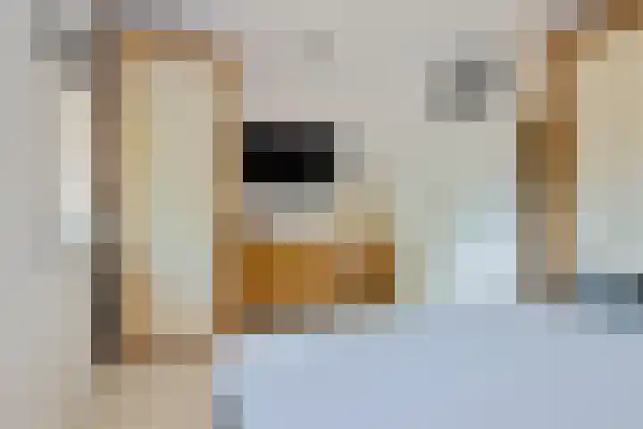 Antilopespoor 394 Maarssen thumbnail 14
