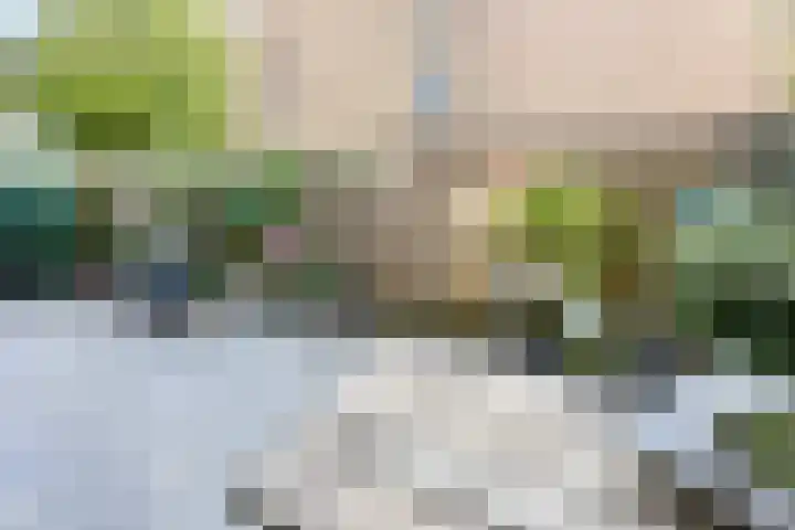 Antilopespoor 394 Maarssen thumbnail 19