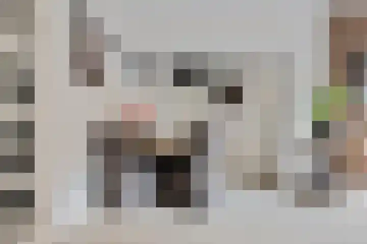 Antilopespoor 394 Maarssen thumbnail 4