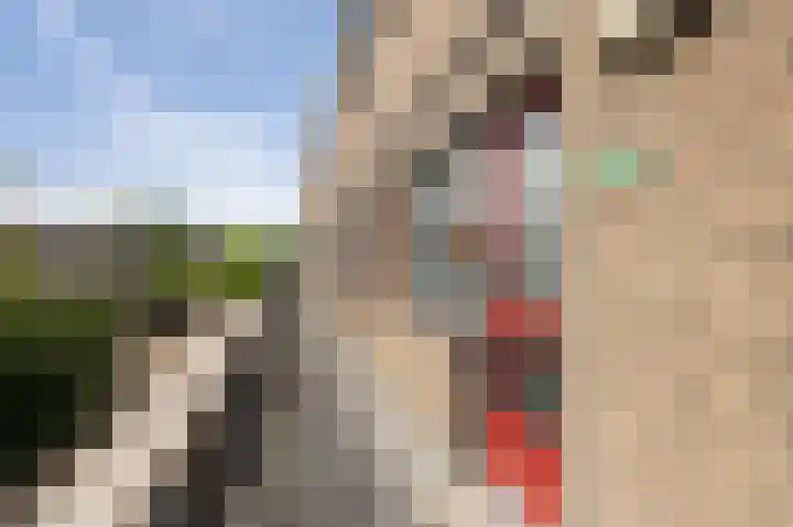 Antilopespoor 412 Maarssen thumbnail 20