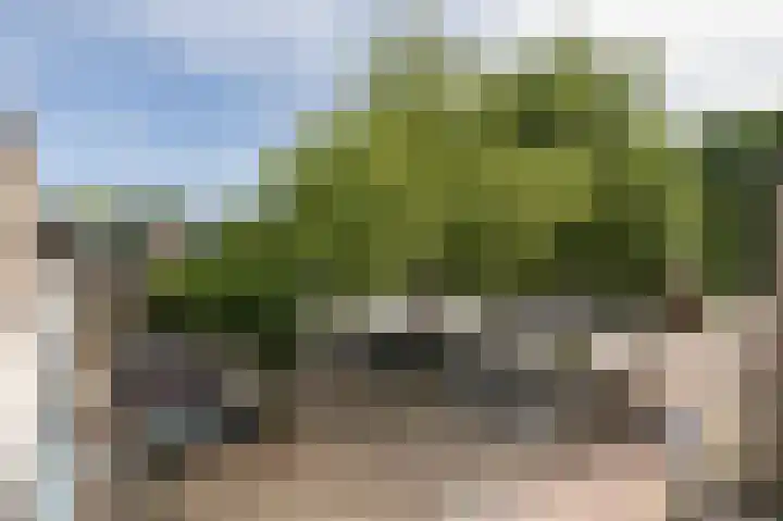 Antilopespoor 412 Maarssen thumbnail 22