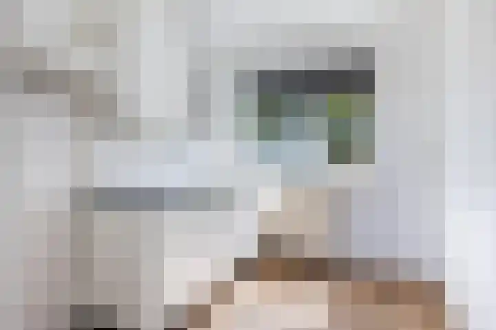 Antilopespoor 412 Maarssen thumbnail 8