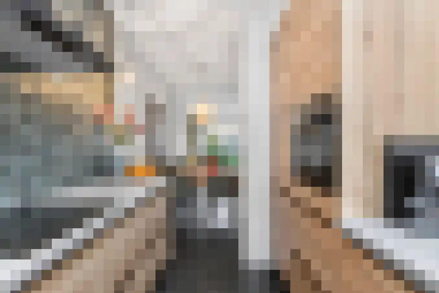 Antilopespoor 433 Maarssen thumbnail 22