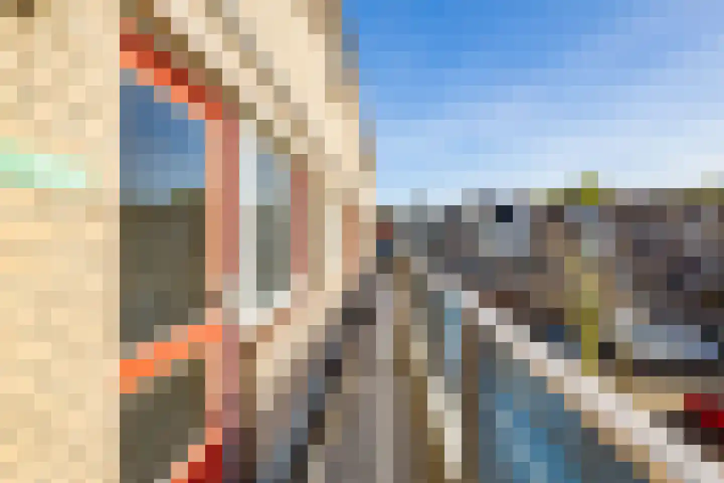 Antilopespoor 438 Maarssen thumbnail 31