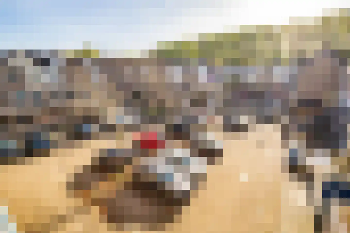 Antilopespoor 438 Maarssen thumbnail 32