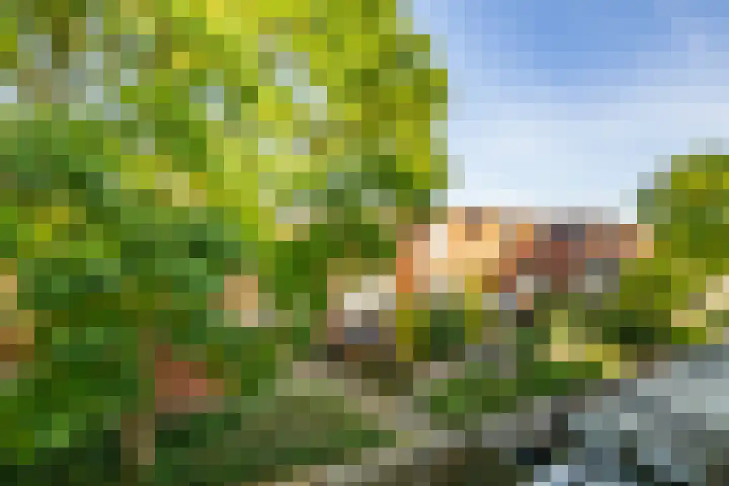 Antilopespoor 438 Maarssen thumbnail 33