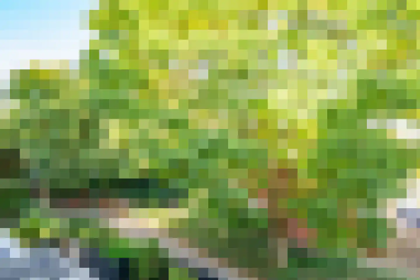 Antilopespoor 438 Maarssen thumbnail 34