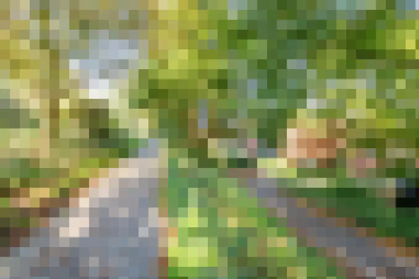 Antilopespoor 438 Maarssen thumbnail 35