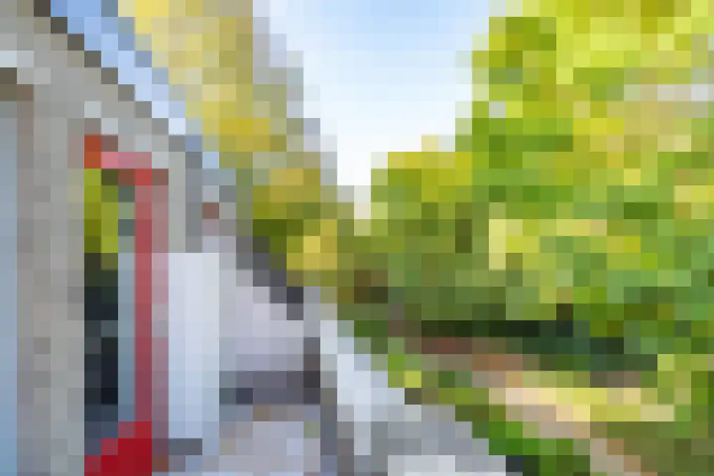 Antilopespoor 438 Maarssen thumbnail 9