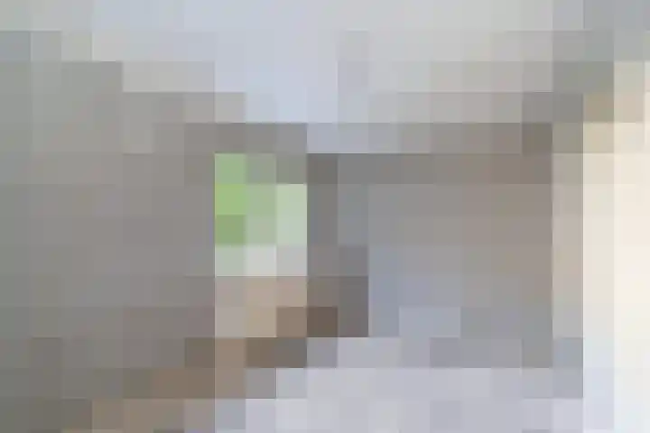 Antilopespoor 472 Maarssen thumbnail 15